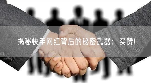 揭秘快手网红背后的秘密武器：买赞!