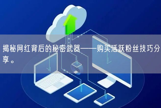揭秘网红背后的秘密武器——购买活跃粉丝技巧分享。