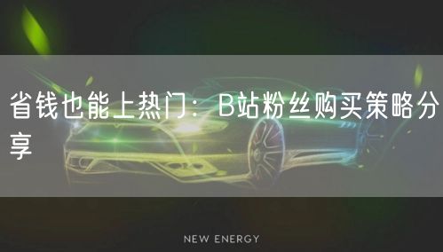 省钱也能上热门：B站粉丝购买策略分享