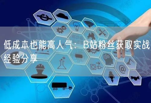 低成本也能高人气：B站粉丝获取实战经验分享