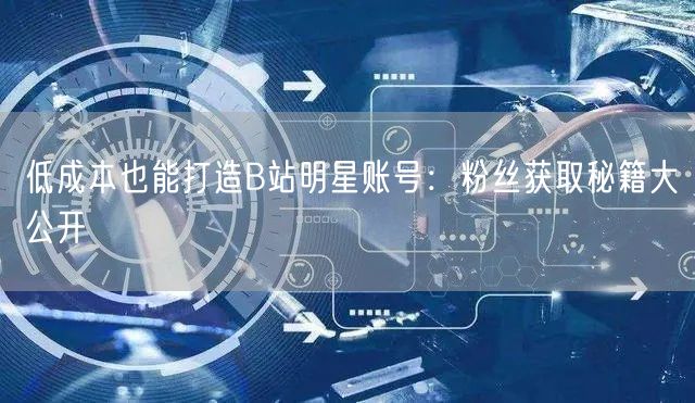 低成本也能打造B站明星账号：粉丝获取秘籍大公开