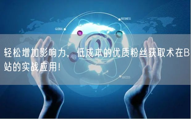 轻松增加影响力，低成本的优质粉丝获取术在B站的实战应用！