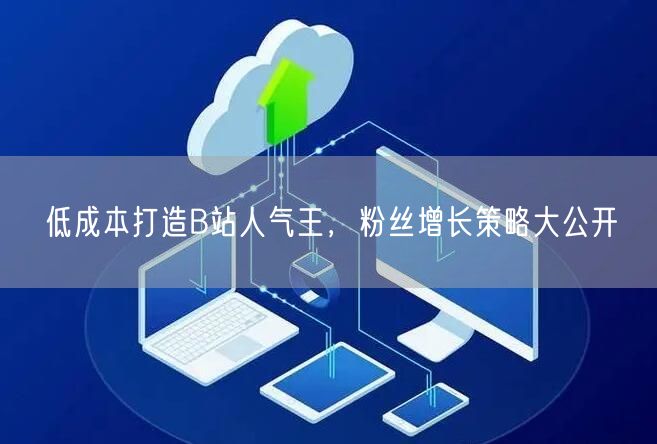 低成本打造B站人气王，粉丝增长策略大公开