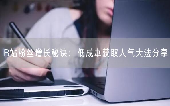 B站粉丝增长秘诀：低成本获取人气大法分享