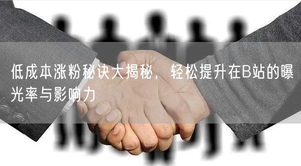 低成本涨粉秘诀大揭秘，轻松提升在B站的曝光率与影响力