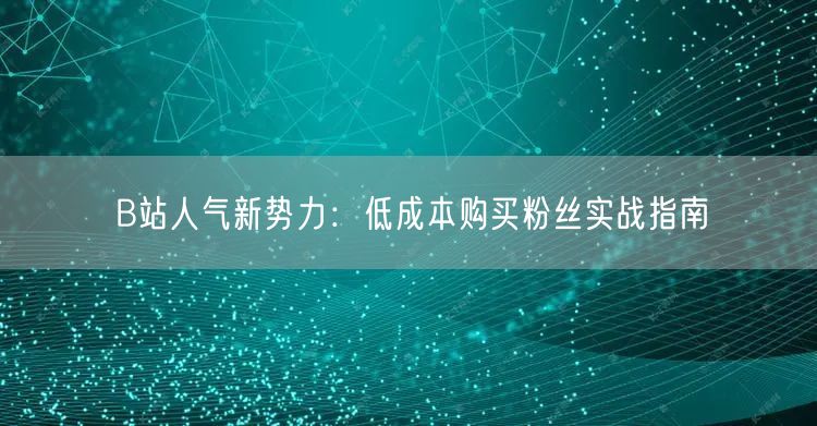 B站人气新势力：低成本购买粉丝实战指南