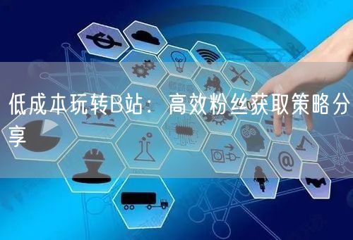 低成本玩转B站：高效粉丝获取策略分享