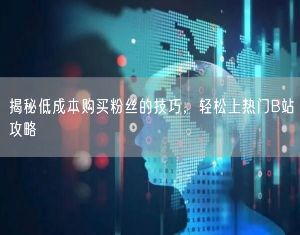 揭秘低成本购买粉丝的技巧，轻松上热门B站攻略