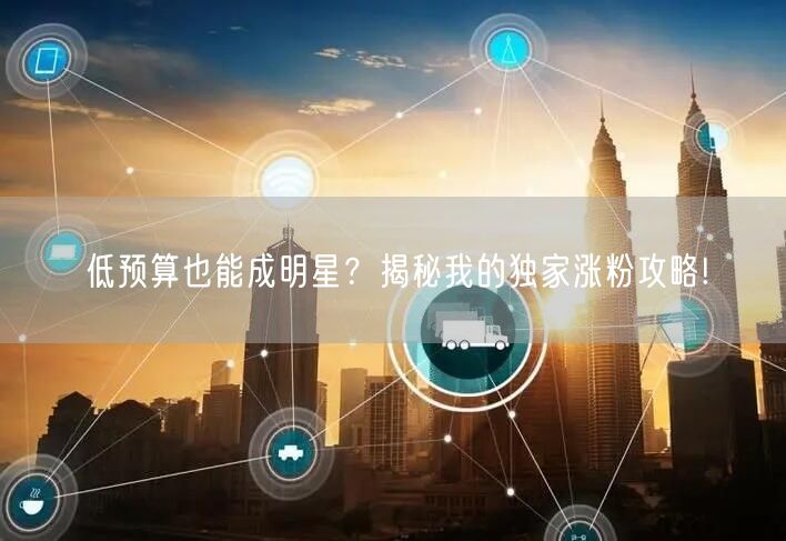 低预算也能成明星？揭秘我的独家涨粉攻略!
