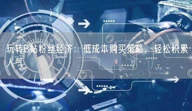 玩转B站粉丝经济：低成本购买策略，轻松积累人气
