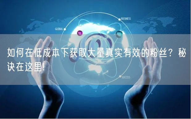 如何在低成本下获取大量真实有效的粉丝？秘诀在这里!