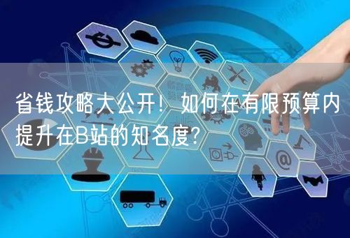 省钱攻略大公开！如何在有限预算内提升在B站的知名度?