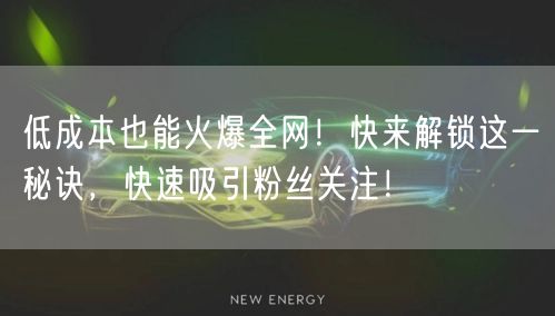 低成本也能火爆全网！快来解锁这一秘诀，快速吸引粉丝关注！