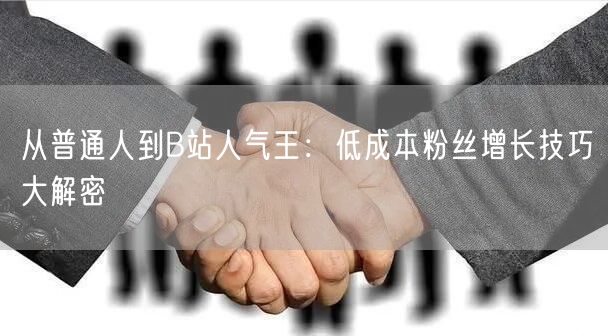 从普通人到B站人气王：低成本粉丝增长技巧大解密