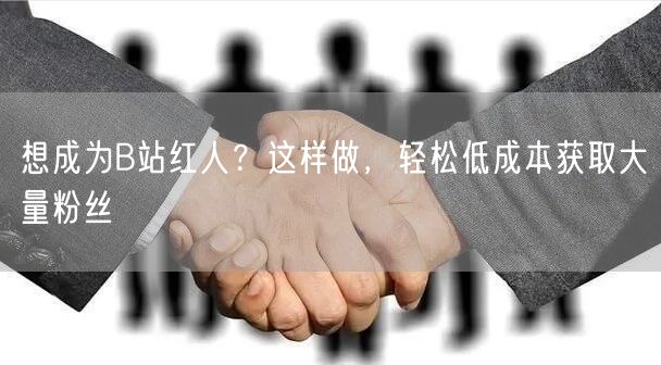 想成为B站红人？这样做，轻松低成本获取大量粉丝