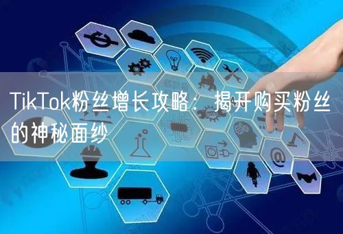TikTok粉丝增长攻略：揭开购买粉丝的神秘面纱