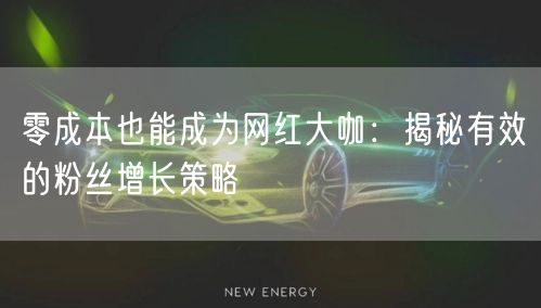 零成本也能成为网红大咖：揭秘有效的粉丝增长策略
