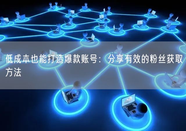 低成本也能打造爆款账号：分享有效的粉丝获取方法