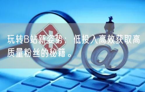 玩转B站新姿势：低投入高效获取高质量粉丝的秘籍。