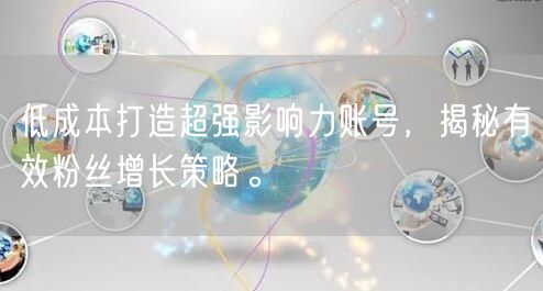 低成本打造超强影响力账号，揭秘有效粉丝增长策略。