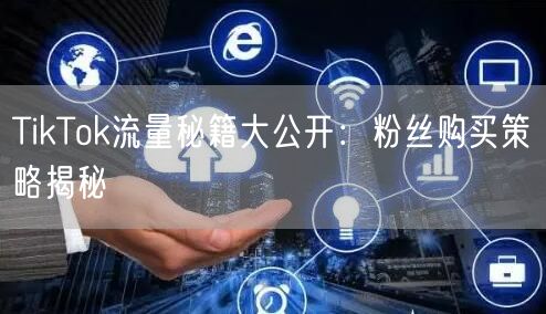 TikTok流量秘籍大公开：粉丝购买策略揭秘