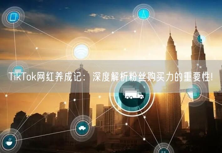 TikTok网红养成记：深度解析粉丝购买力的重要性!