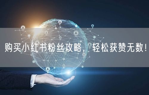 购买小红书粉丝攻略，轻松获赞无数！