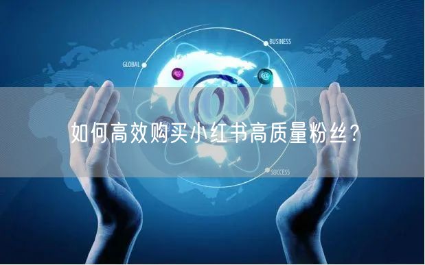 如何高效购买小红书高质量粉丝？