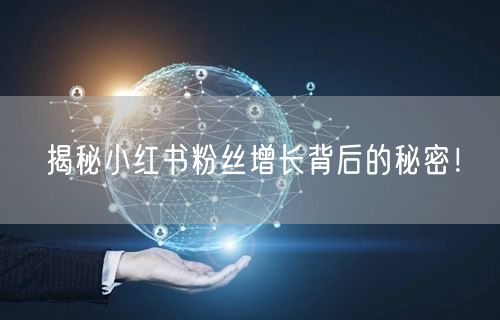 揭秘小红书粉丝增长背后的秘密！