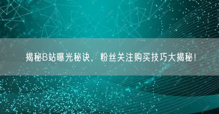 揭秘B站曝光秘诀，粉丝关注购买技巧大揭秘！