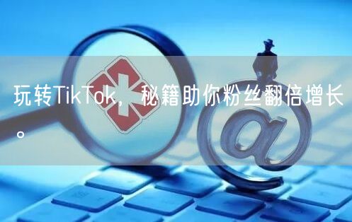 玩转TikTok，秘籍助你粉丝翻倍增长。