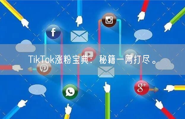 TikTok涨粉宝典：秘籍一网打尽。