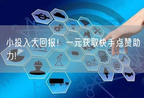 小投入大回报！一元获取快手点赞助力!