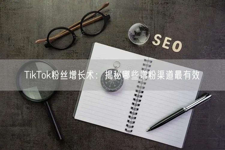 TikTok粉丝增长术：揭秘哪些增粉渠道最有效